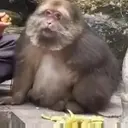 Çıkartma