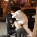 స్టికర్