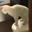 స్టికర్