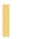 Adhesiu