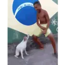 Figurinha