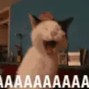 ملصق