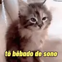 Stika