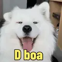 Figurinha