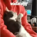 ملصق