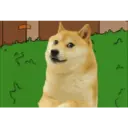 Adhesiu