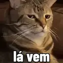 贴纸