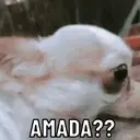 ملصق