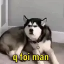 ملصق