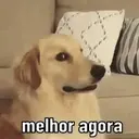 מדבקה