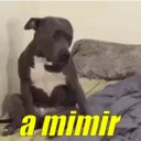 מדבקה