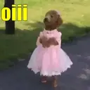 מדבקה