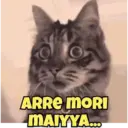 స్టికర్