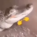 ஸ்டிக்கர்