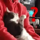 สติกเกอร์