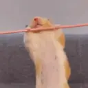 Çıkartma