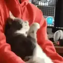 ස්ටිකර්