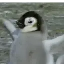 ස්ටිකර්