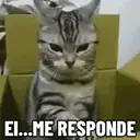 اسٹیکر