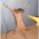 מדבקה