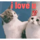 สติกเกอร์