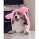 מדבקה