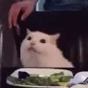 Կպչուն պիտակ