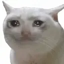 Կպչուն պիտակ