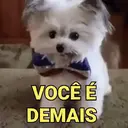 ஸ்டிக்கர்