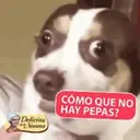 สติกเกอร์