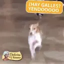 สติกเกอร์