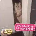 สติกเกอร์