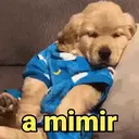 Çıkartma