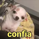 Çıkartma