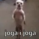 贴纸