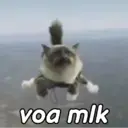 ملصق