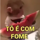 贴纸