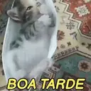 מדבקה