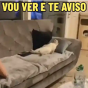 מדבקה