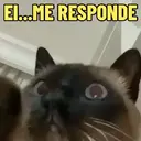 מדבקה