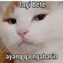 Stika