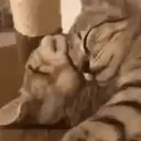 স্টিকার