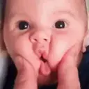 স্টিকার