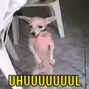 Стикер