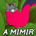Nhãn dán