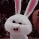స్టికర్