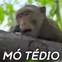 Figurinha