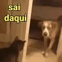 స్టికర్