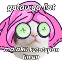 Límmiði