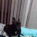 สติกเกอร์